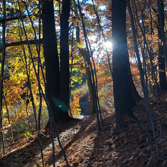 Meet your Posher, Eva - Picture 3 of 9